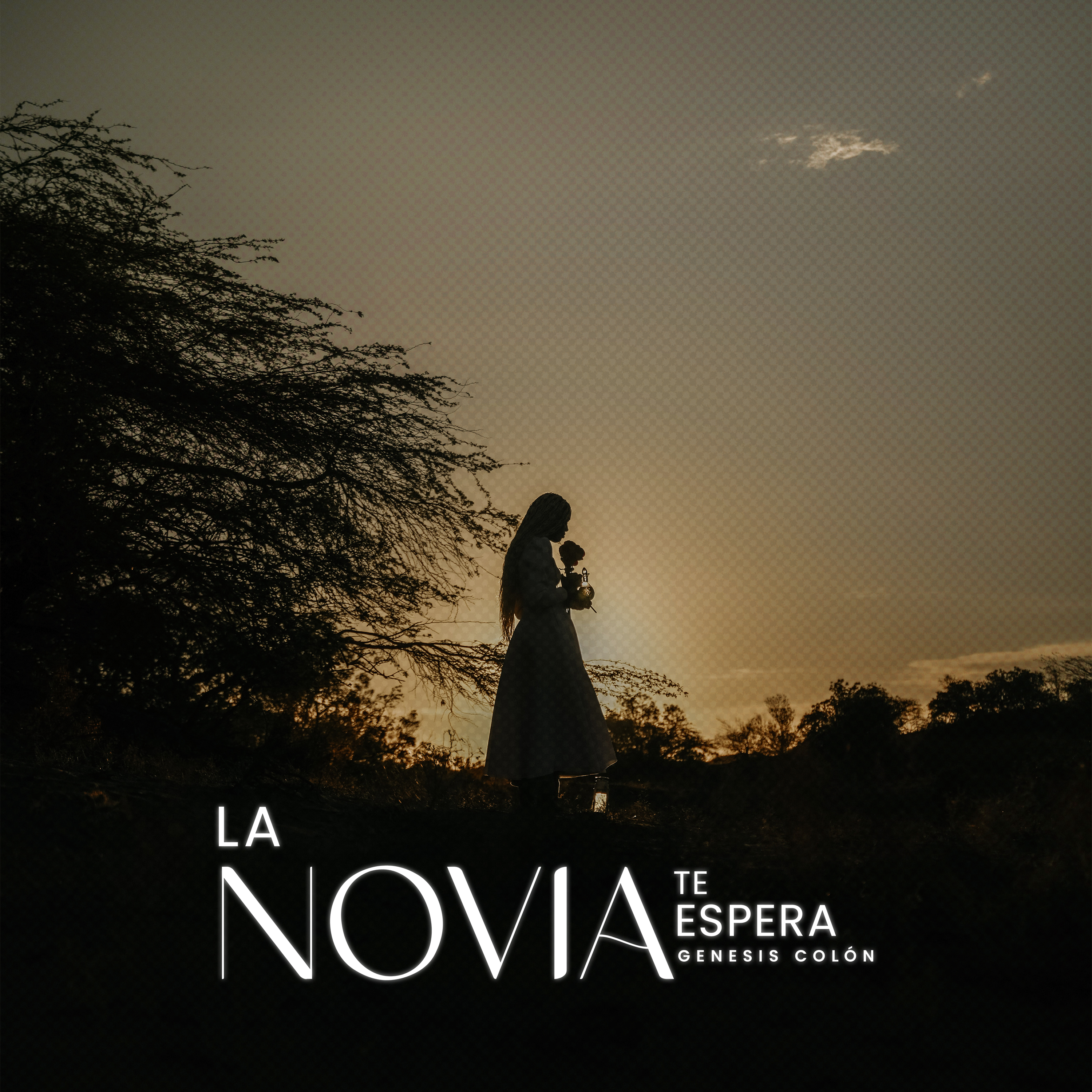 La Novia Te Espera